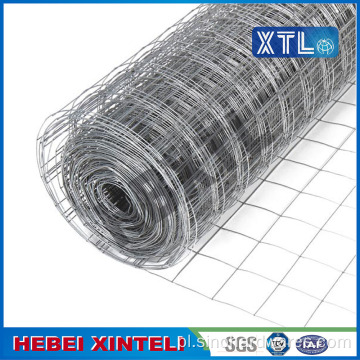 Wysokiej Jakości Holland Wire mesh